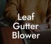 Leaf Gutter Blower