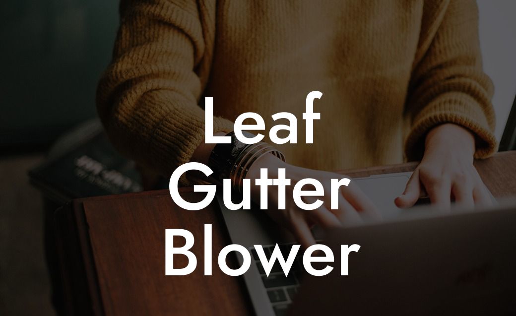 Leaf Gutter Blower