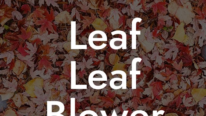 Leaf Leaf Blower