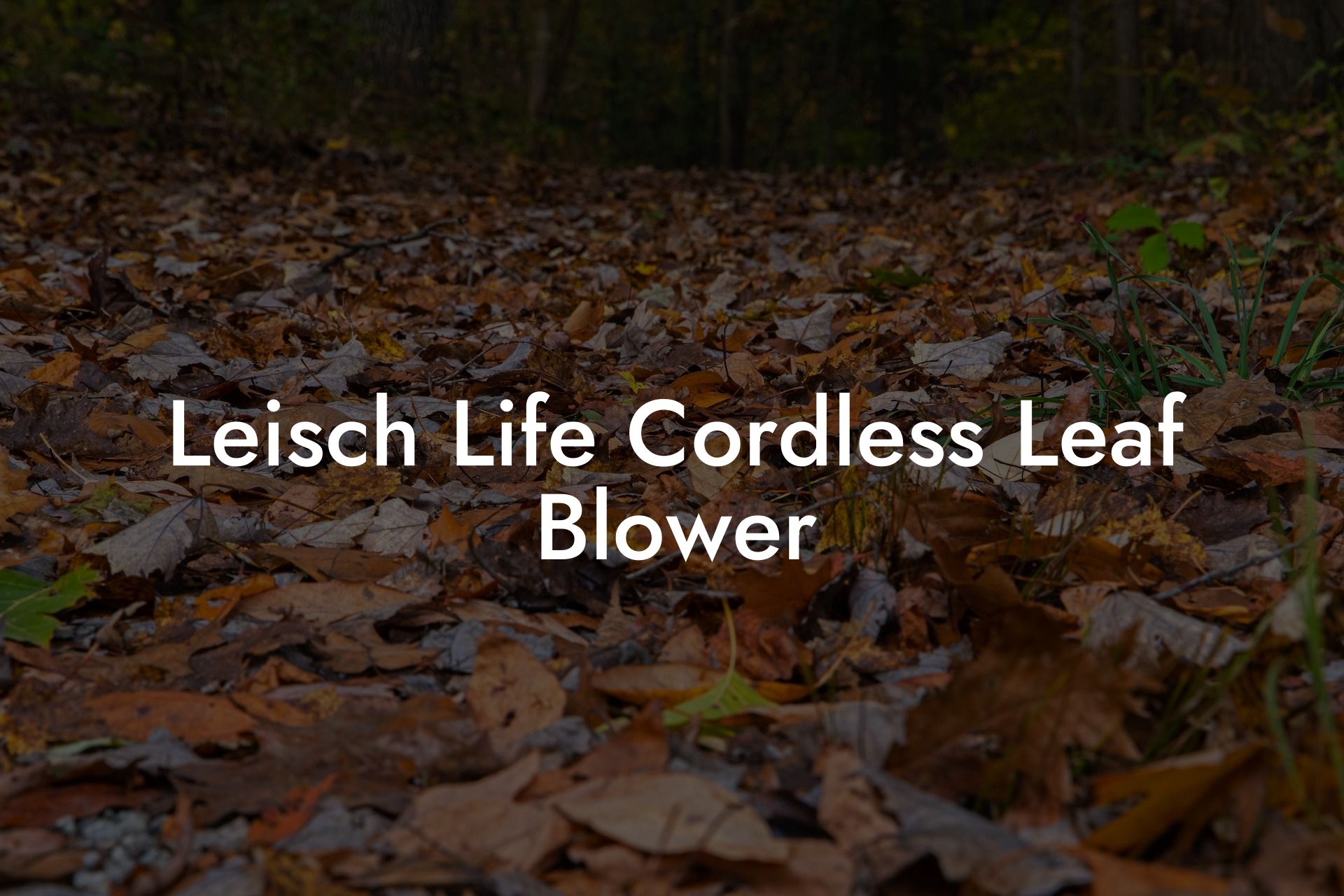 Leisch Life Cordless Leaf Blower