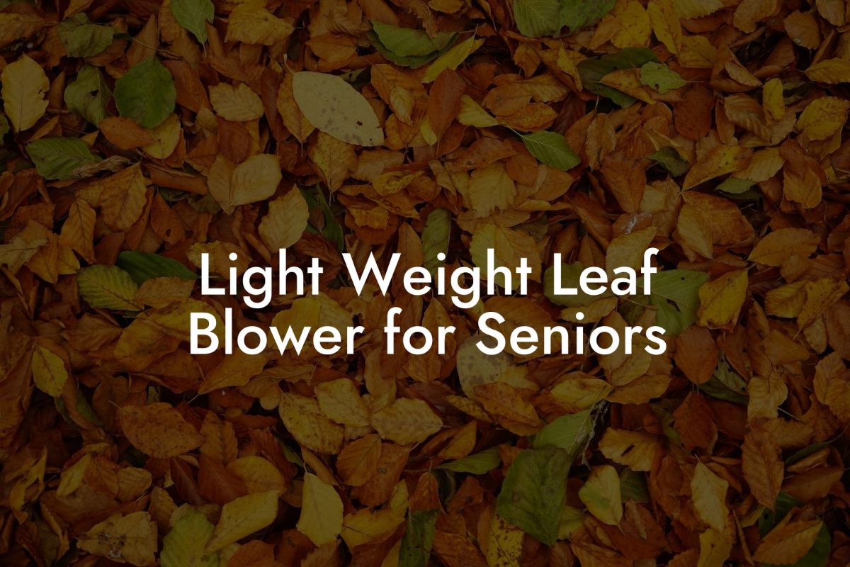 Light Weight Leaf Blower for Seniors