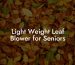 Light Weight Leaf Blower for Seniors