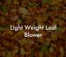 Light Weight Leaf Blower