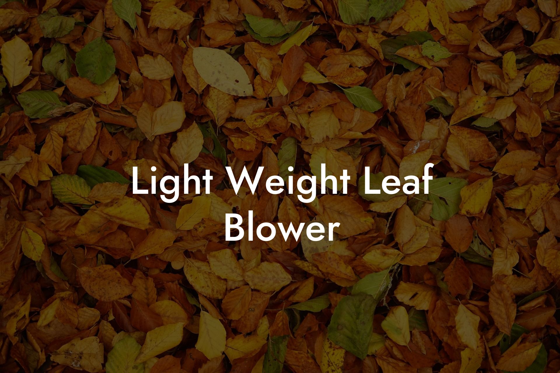 Light Weight Leaf Blower