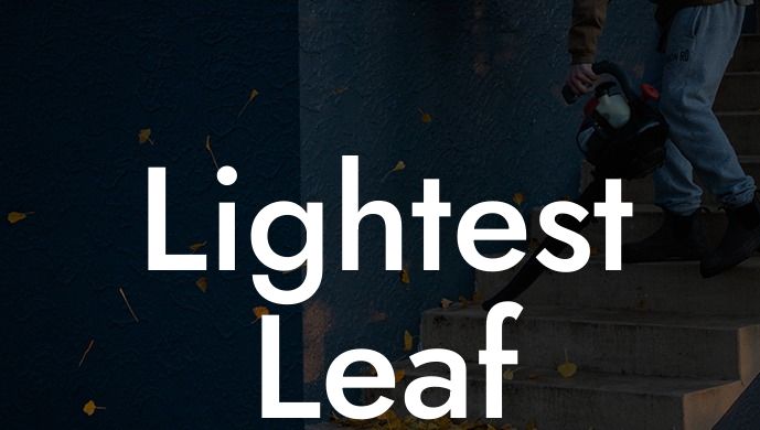 Lightest Leaf Blower