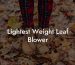 Lightest Weight Leaf Blower