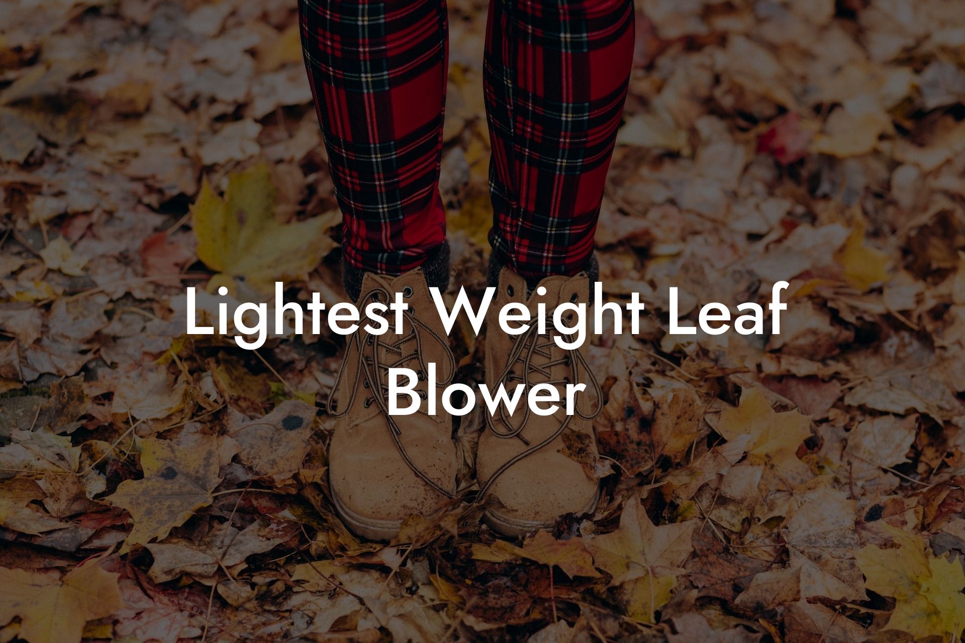 Lightest Weight Leaf Blower