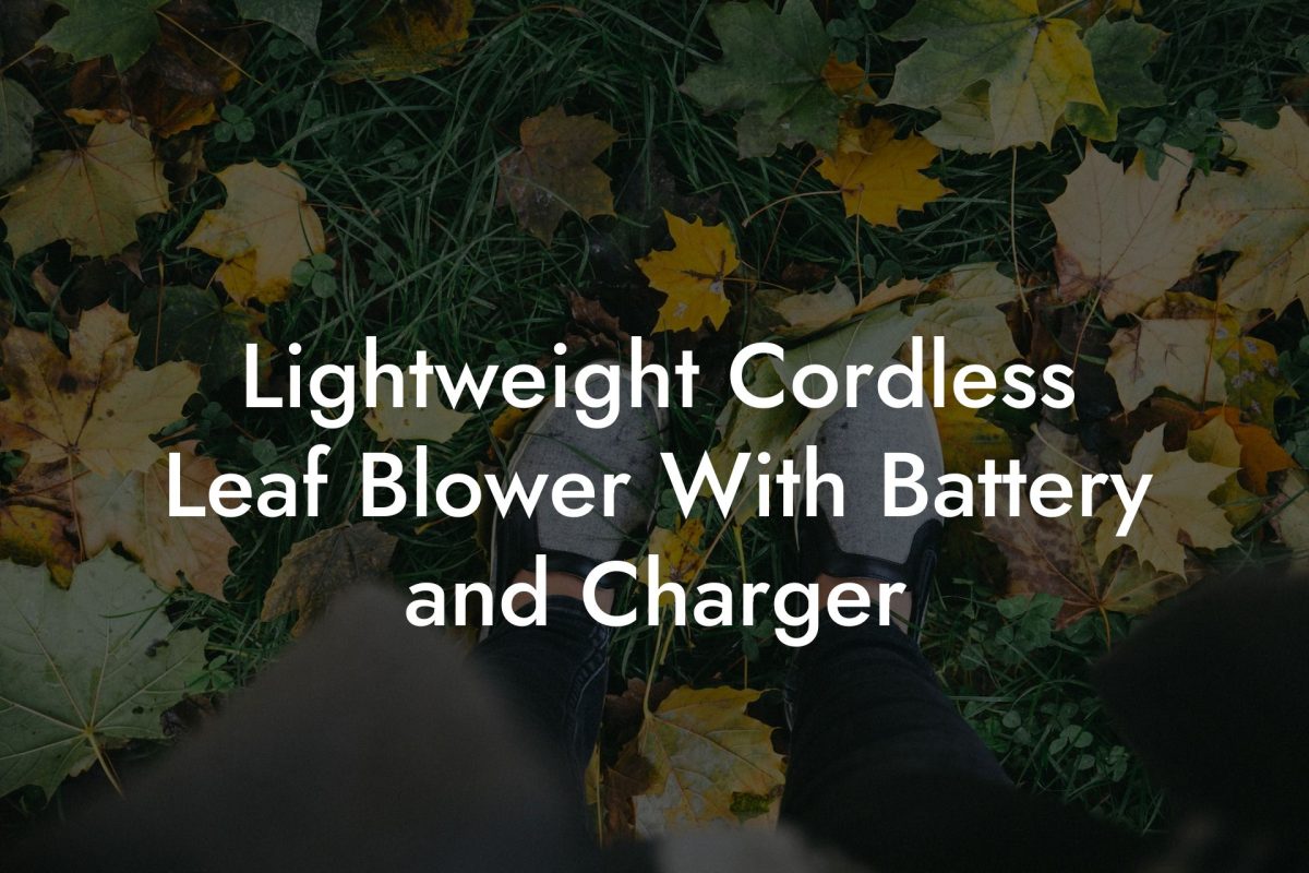 Lightweight Cordless Leaf Blower With Battery and Charger