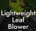 Lightweight Leaf Blower Cordless