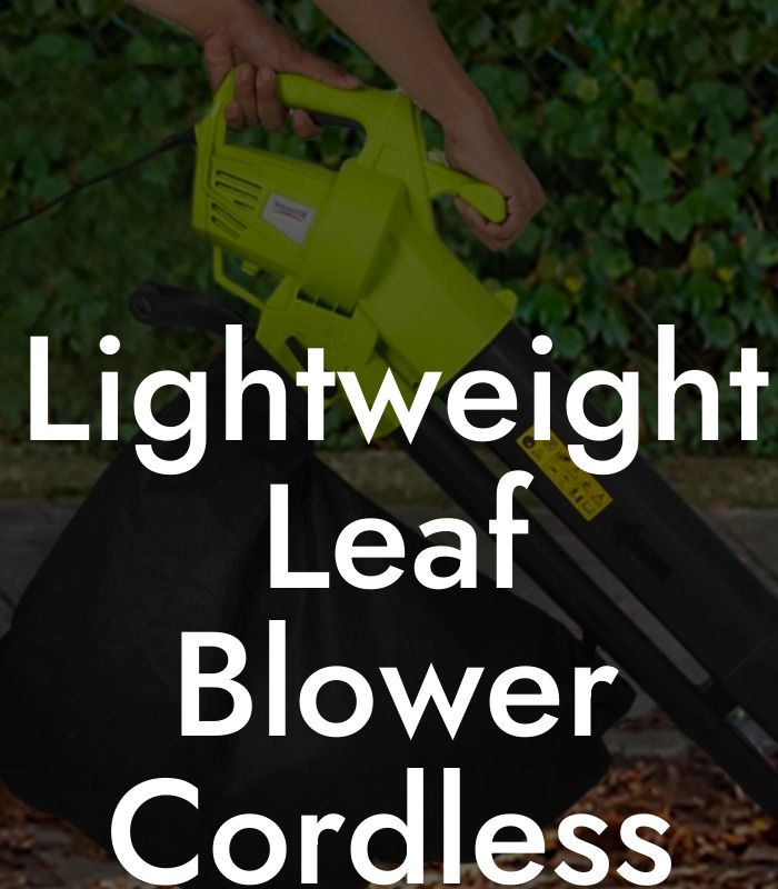 Lightweight Leaf Blower Cordless