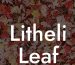 Litheli Leaf Blower