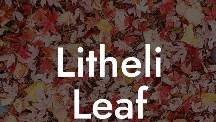 Litheli Leaf Blower