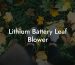 Lithium Battery Leaf Blower