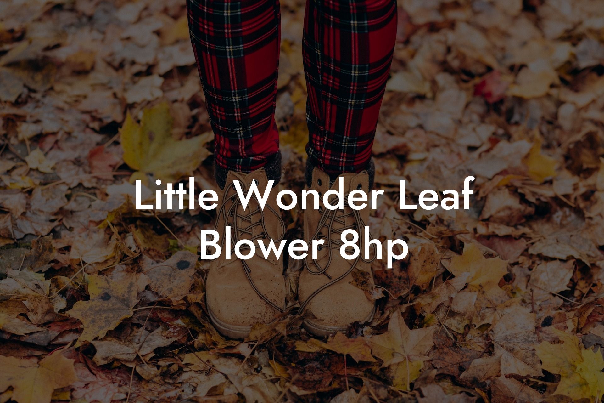 Little Wonder Leaf Blower 8hp