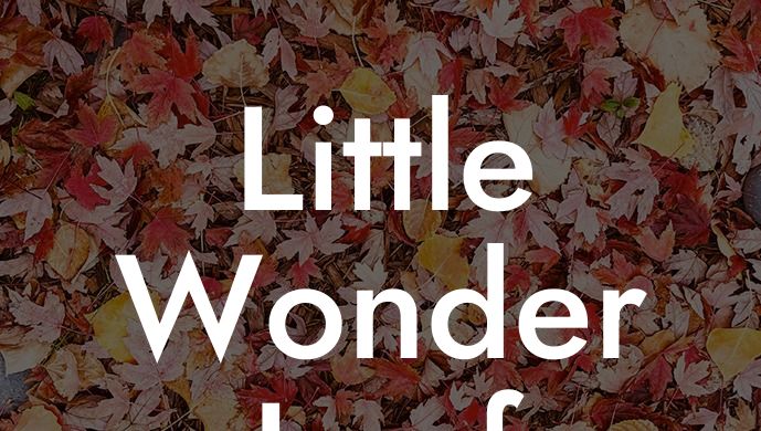 Little Wonder Leaf Blower