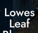 Lowes Leaf Blower Cordless