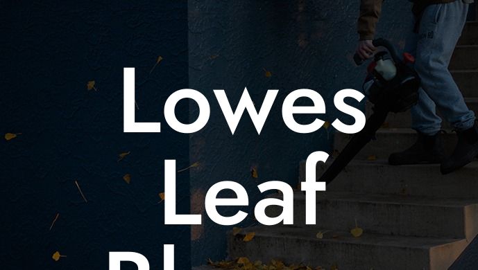 Lowes Leaf Blower Cordless