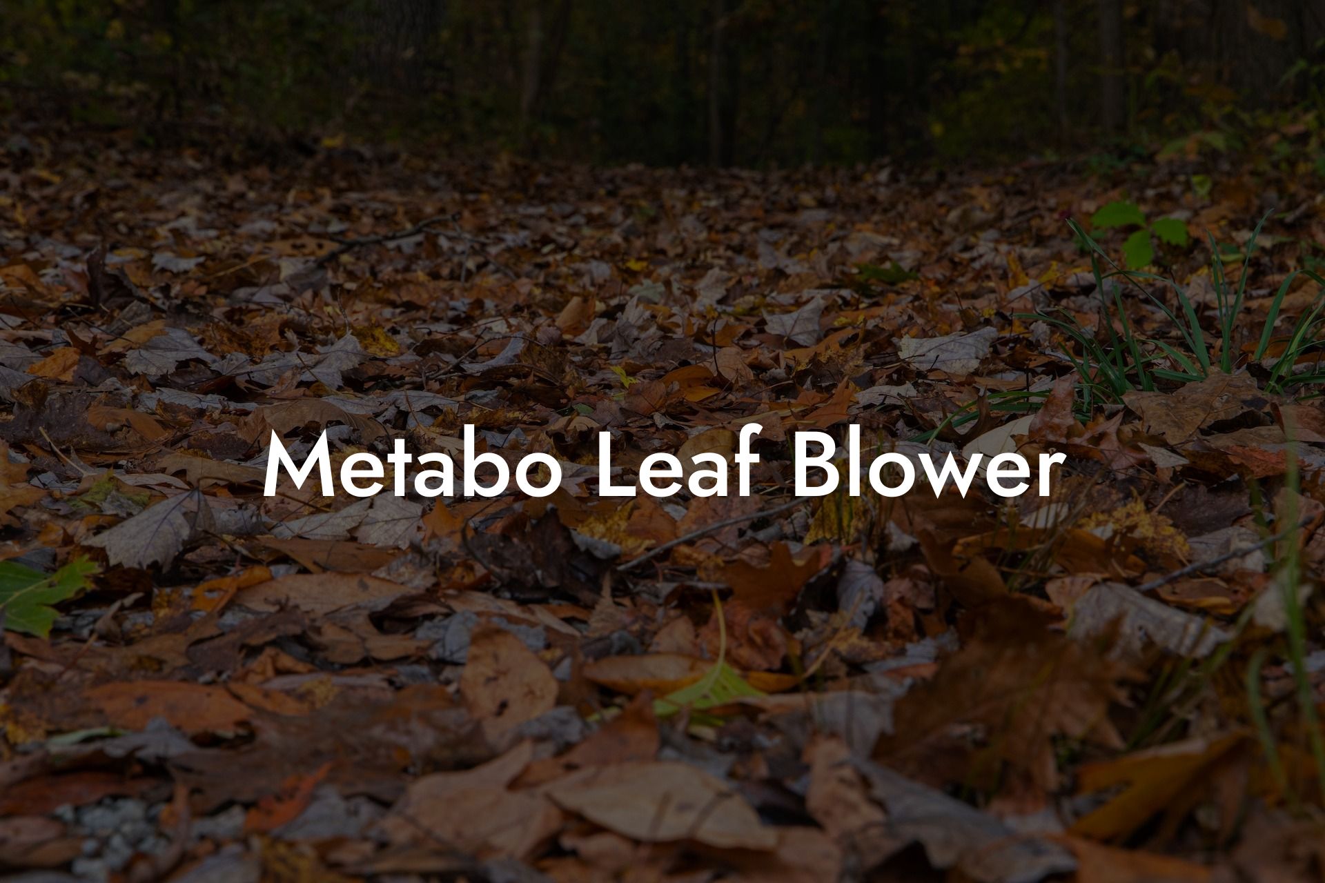 Metabo Leaf Blower