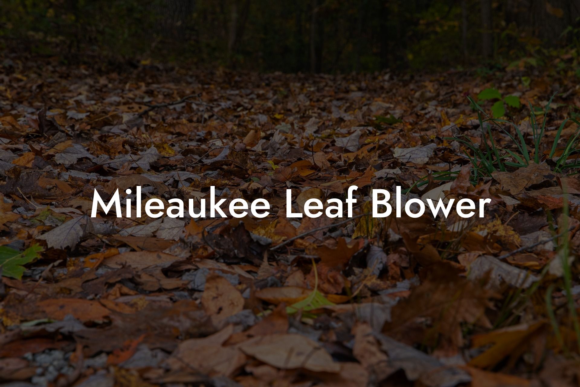 Mileaukee Leaf Blower