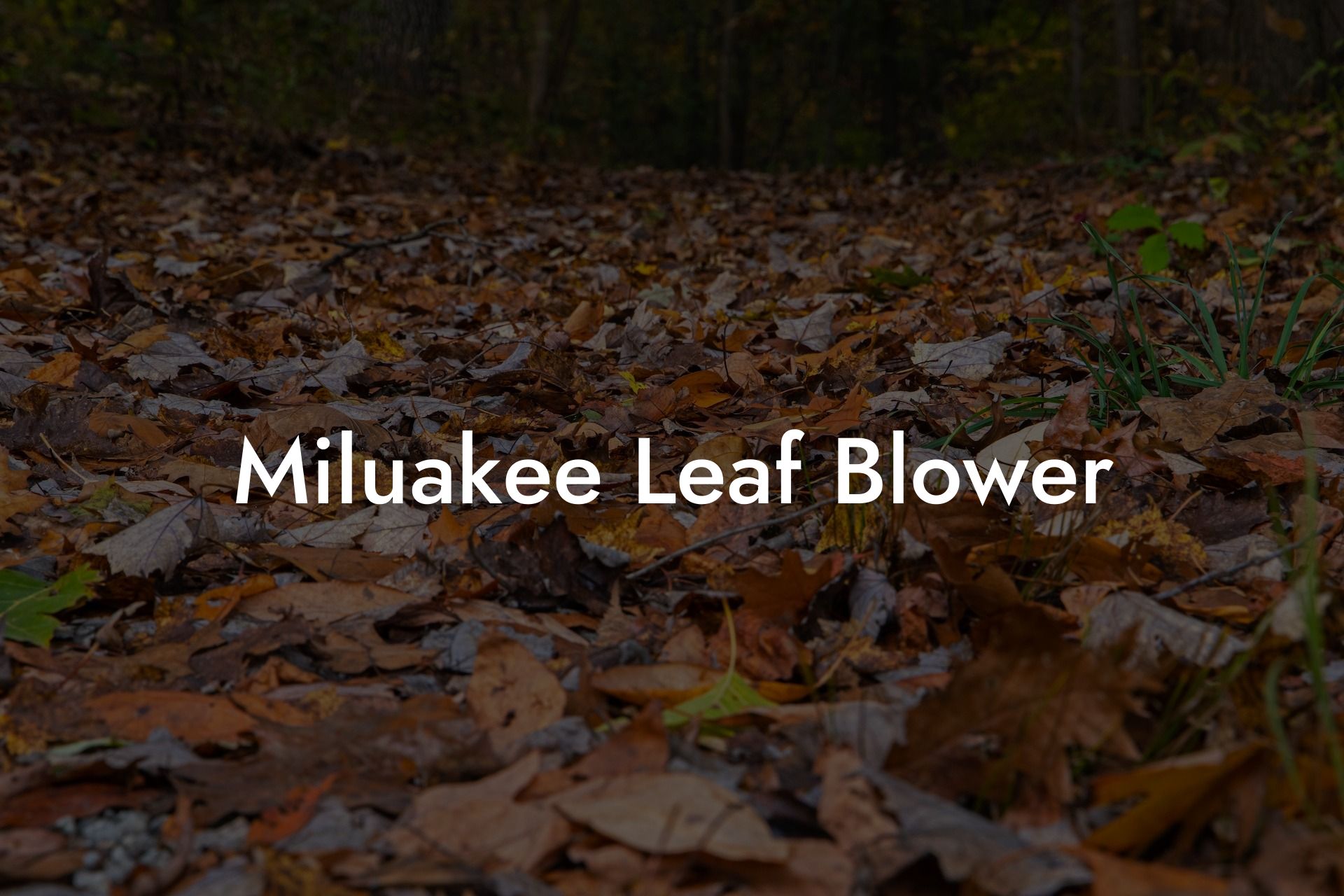 Miluakee Leaf Blower