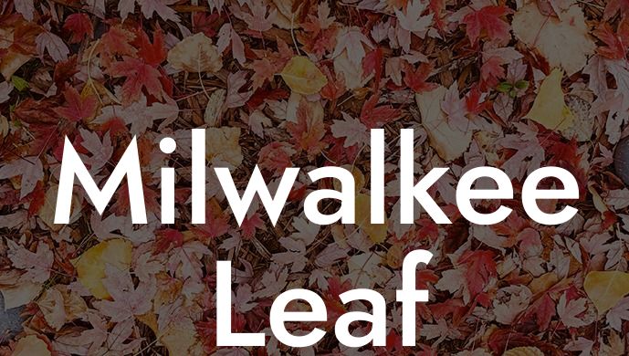 Milwalkee Leaf Blower