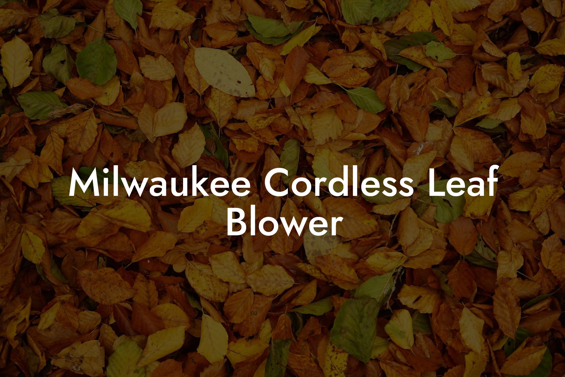 Milwaukee Cordless Leaf Blower