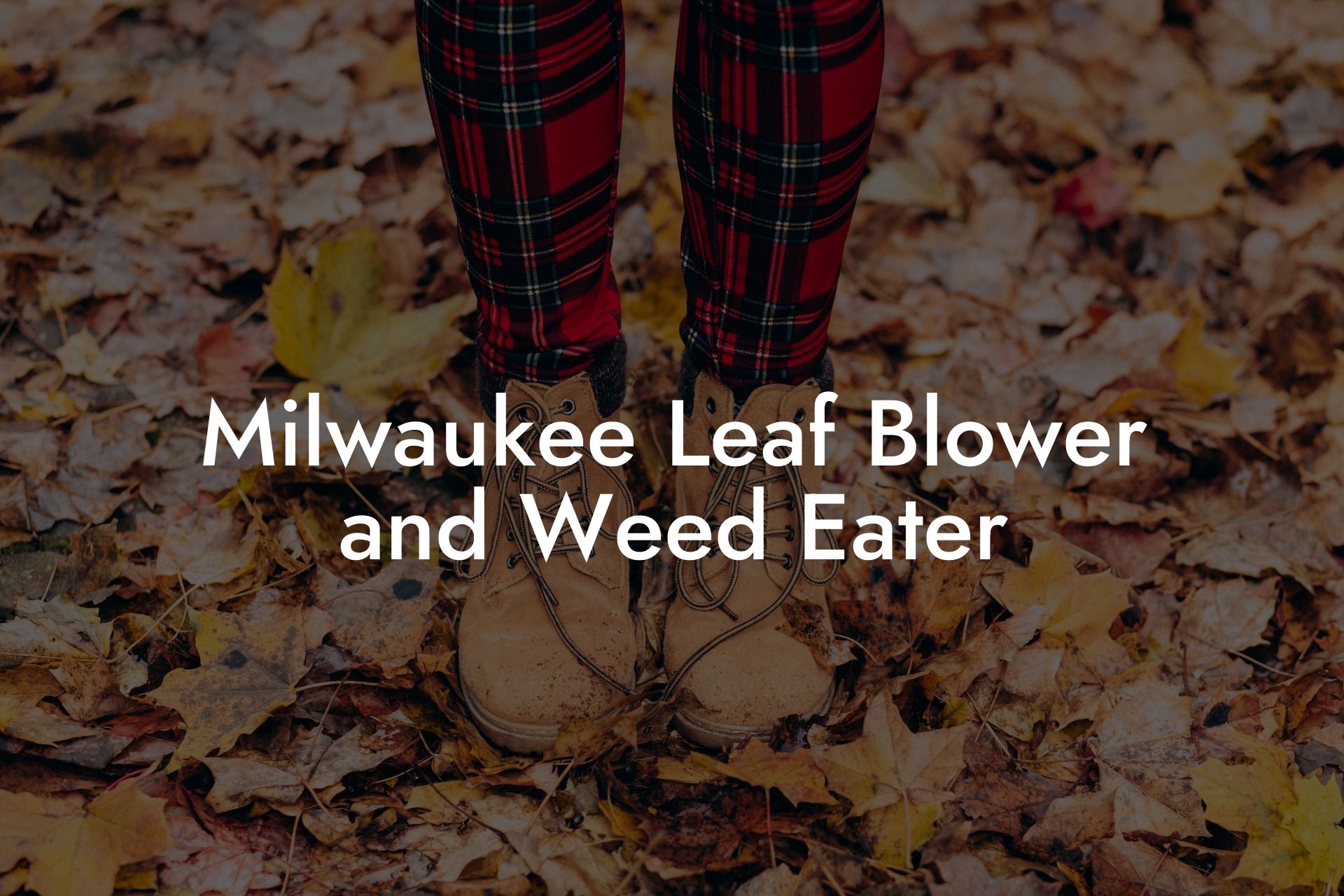 Milwaukee Leaf Blower and Weed Eater