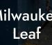 Milwaukee Leaf Blower Backpack