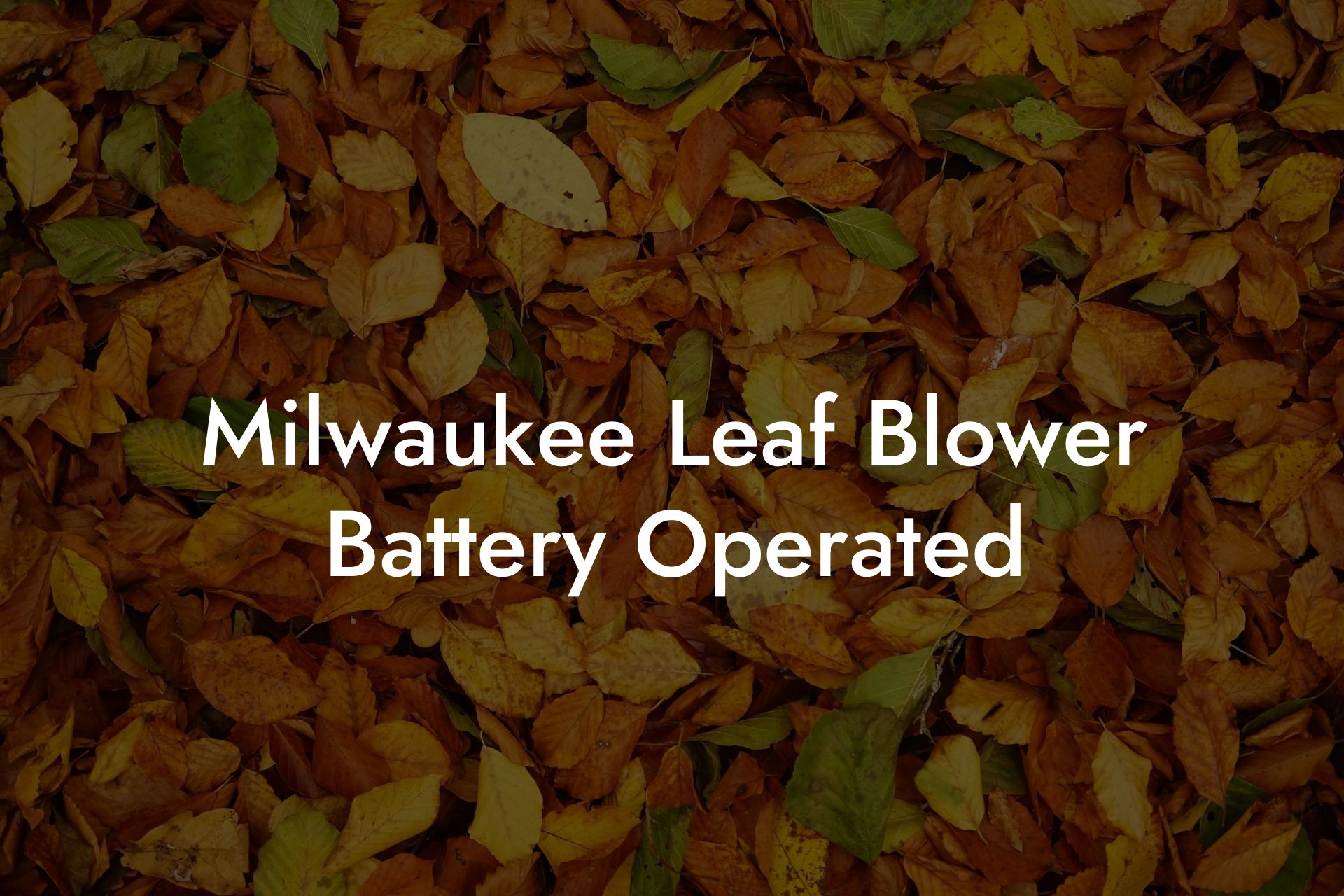 Milwaukee Leaf Blower Battery Operated