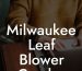 Milwaukee Leaf Blower Combo