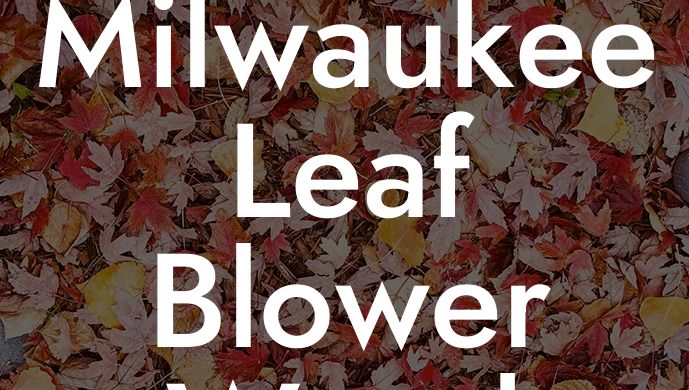 Milwaukee Leaf Blower Weed Eater Combo