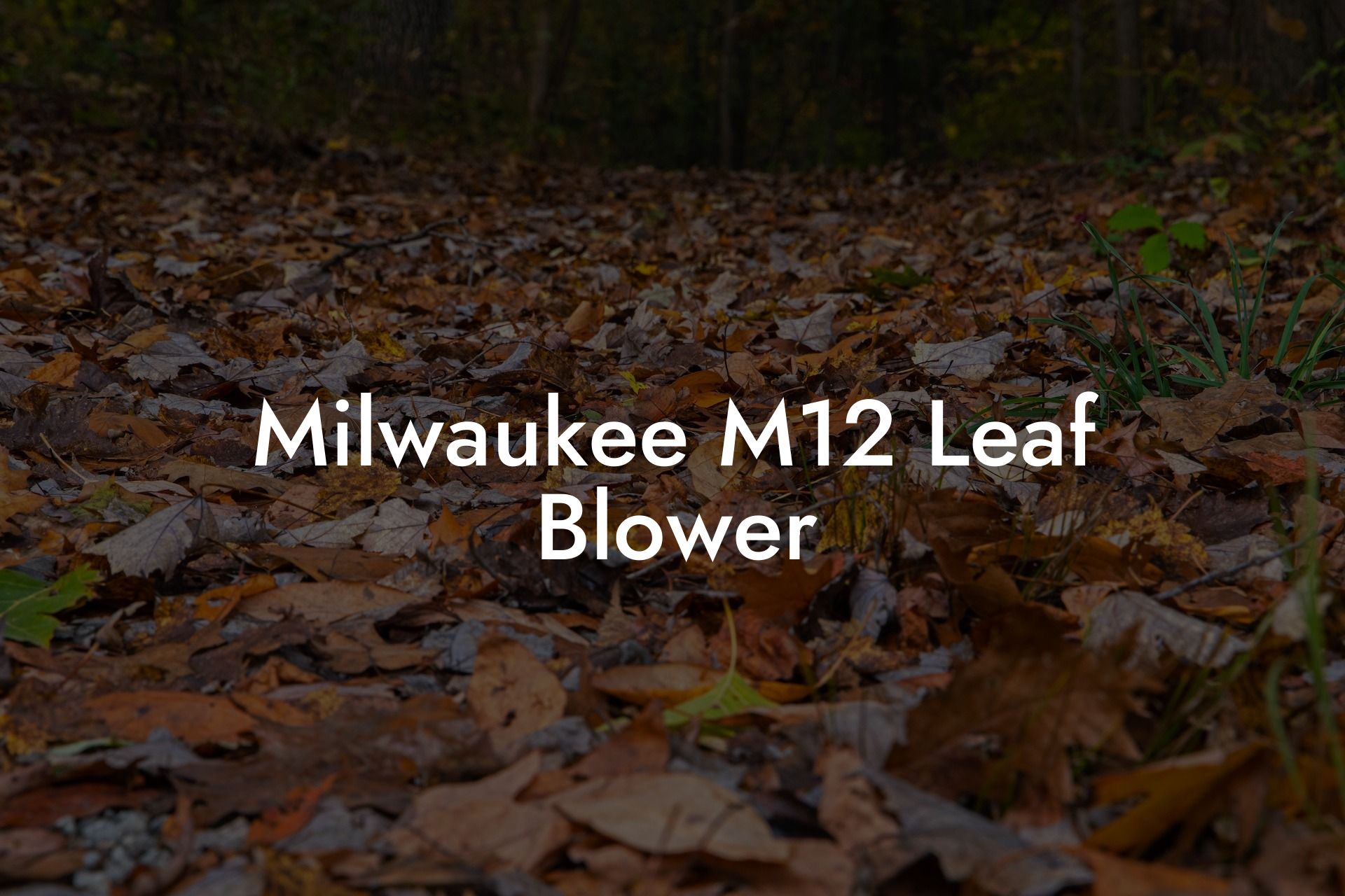 Milwaukee M12 Leaf Blower