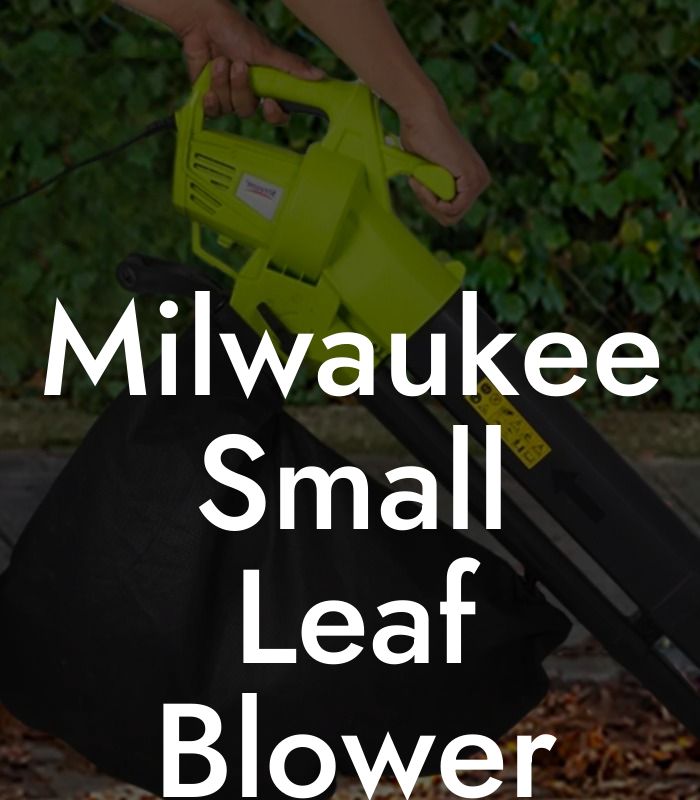 Milwaukee Small Leaf Blower