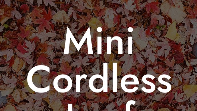 Mini Cordless Leaf Blower