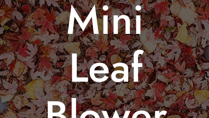 Mini Leaf Blower Battery Powered