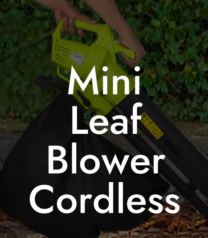 Mini Leaf Blower Cordless