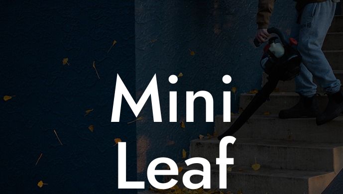 Mini Leaf Blower