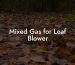 Mixed Gas for Leaf Blower