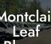 Montclair Leaf Blower Ordinance