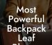 Most Powerful Backpack Leaf Blower