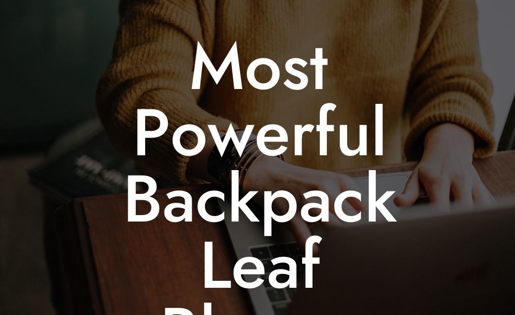 Most Powerful Backpack Leaf Blower