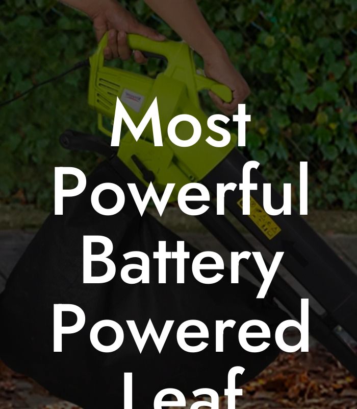 Most Powerful Battery Powered Leaf Blower