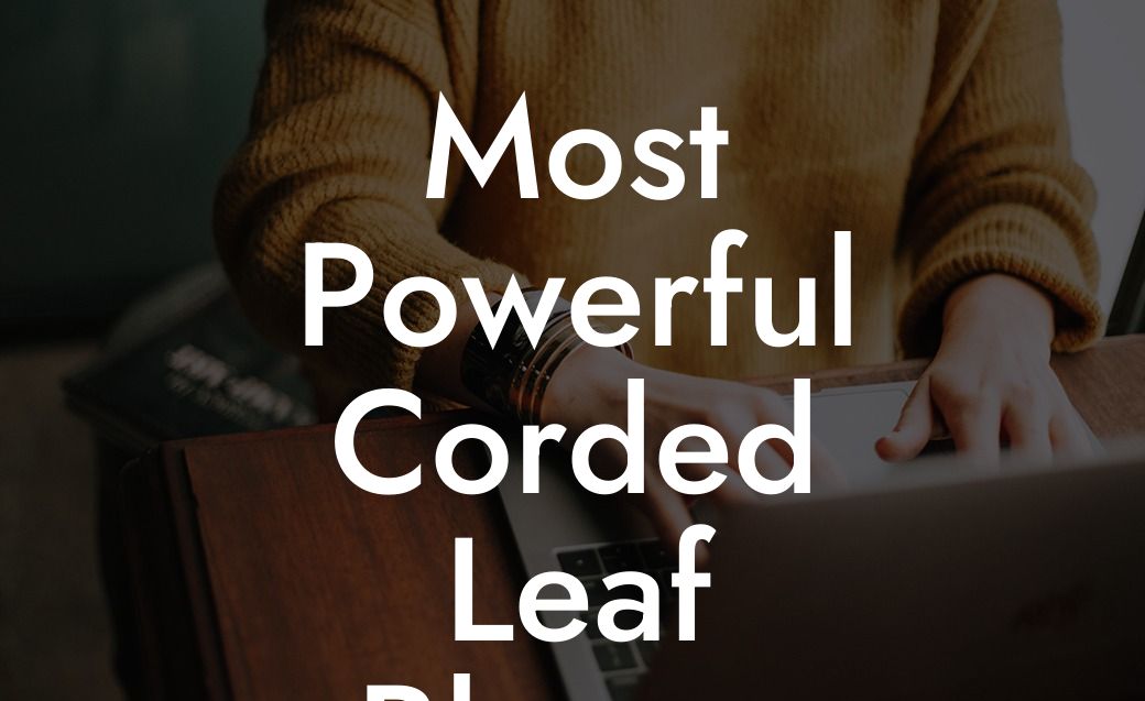 Most Powerful Corded Leaf Blower