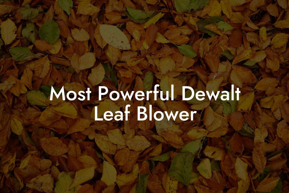 Most Powerful Dewalt Leaf Blower