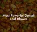 Most Powerful Dewalt Leaf Blower