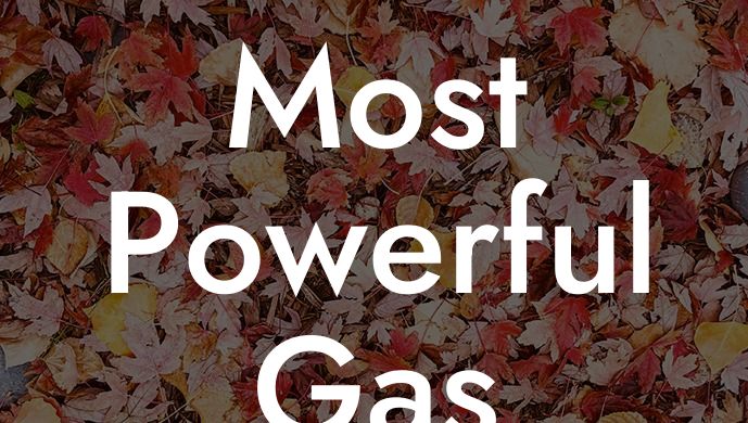 Most Powerful Gas Leaf Blower