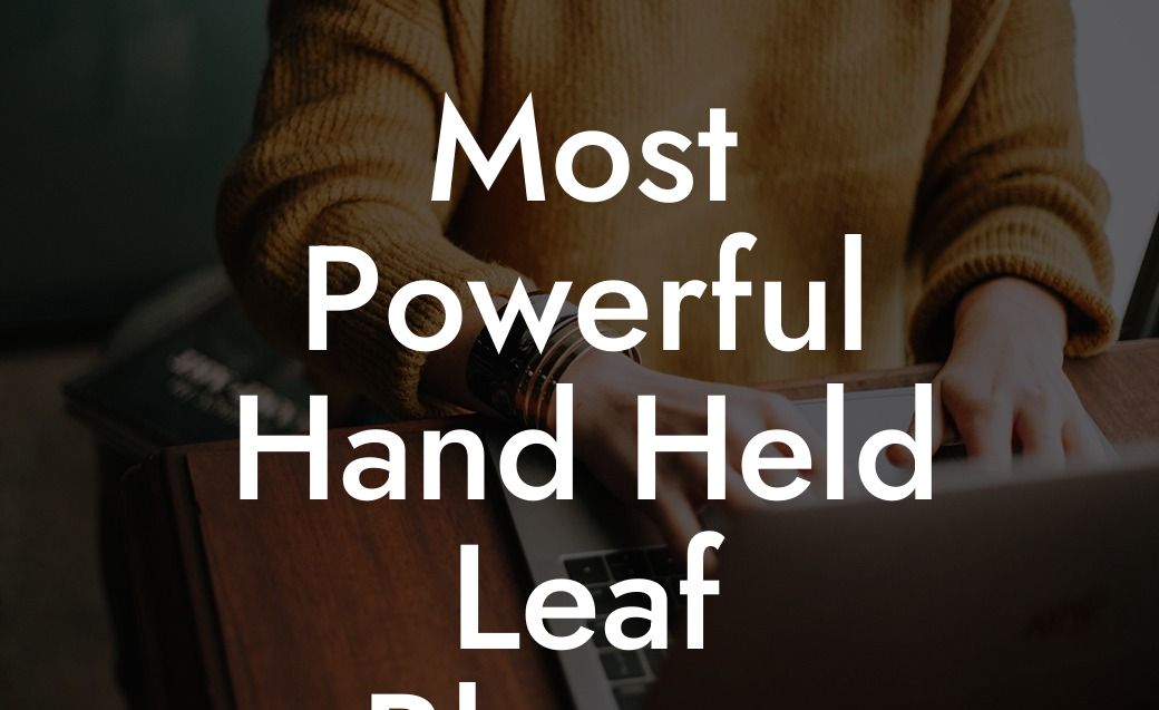 Most Powerful Hand Held Leaf Blower