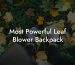 Most Powerful Leaf Blower Backpack