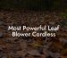 Most Powerful Leaf Blower Cordless