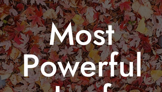 Most Powerful Leaf Blower